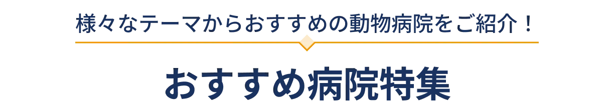 おすすめ